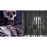 Mức phạt tù người tham gia tổ chức khủng bố nhằm chống chính quyền