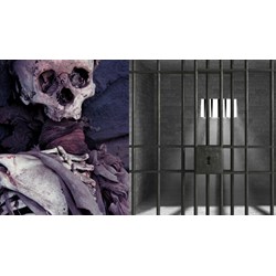 Mức phạt tù người tham gia tổ chức khủng bố nhằm chống chính quyền
