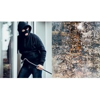 Tội khủng bố có bị tước một số quyền công dân hay không?