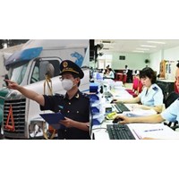 Ai thành lập Hội đồng tuyển dụng công chức Tổng cục Hải quan?