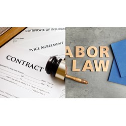 Hợp đồng lao động vô hiệu toàn bộ thì NLĐ có được nhận trợ cấp thôi việc?