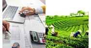 Quy định về công tác kế toán hợp tác xã, liên hiệp hợp tác xã