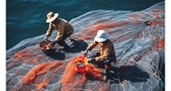 Bảo vệ nguồn lợi thủy sản phải phá bỏ công trình đường di cư của thủy sản?