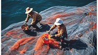 Bảo vệ nguồn lợi thủy sản phải phá bỏ công trình đường di cư của thủy sản?