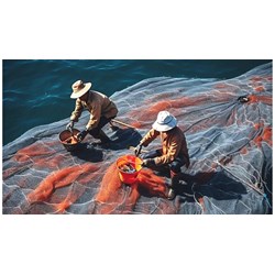 Bảo vệ nguồn lợi thủy sản phải phá bỏ công trình đường di cư của thủy sản?