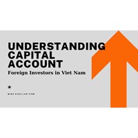 Foreign Investors in Vietnam: Understanding Capital Accounts