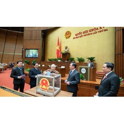 Lý do miễn nhiệm Chủ tịch nước cộng hòa xã hội chủ nghĩa Việt Nam?