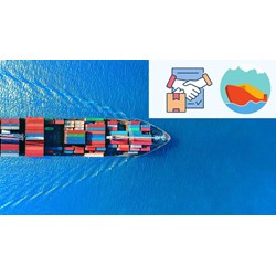 Hàng hóa vận chuyển theo hợp đồng vận chuyển hàng hóa bằng đường biển?