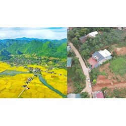 Xin phép cơ quan nào khi chuyển mục đích sử dụng đất lên đất thổ cư?