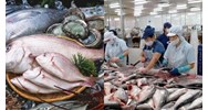 Được nhập thủy sản ngoài danh mục được kinh doanh tại Việt Nam khi nào?