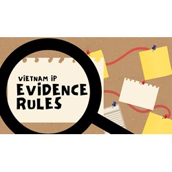 Vietnam IP Evidence Rules: Key to Winning Infringement Cases