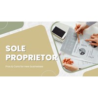 Vietnam Sole Proprietorship: Pros & Cons for New Businesses