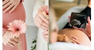 Chỉ có chồng tham gia bảo hiểm có được nghỉ việc hưởng chế độ thai sản?