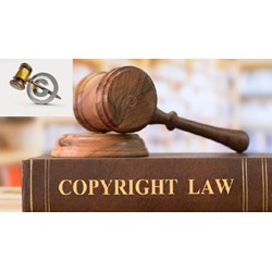 Cục Bản quyền tác giả là cơ quan nào, cơ cấu tổ chức như thế nào?