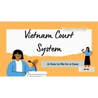 Vietnam Court System: Structure & How to File a Case