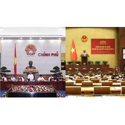 Cơ quan thuộc Chính phủ do ai thành lập và có chức năng gì?