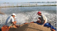 Điều kiện khu nuôi khảo nghiệm của cơ sở khảo nghiệm thức ăn thủy sản?