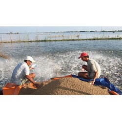 Điều kiện khu nuôi khảo nghiệm của cơ sở khảo nghiệm thức ăn thủy sản?