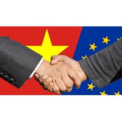 Thu thập thông tin về mối quan hệ thương mại giữa Việt Nam và EU