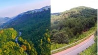 Diện tích rừng của Bắc Trung Bộ lớn thứ 2 cả nước, chỉ đứng sau vùng?