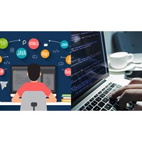Ngôn ngữ lập trình không cần chương trình dịch là? Tin học 10