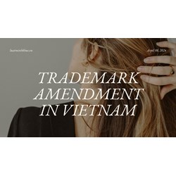 Fix Your Vietnam Trademark Application: A Guide to Amendments