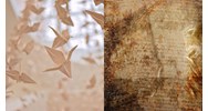 Mẫu tờ khai sửa đổi, bổ sung đơn đăng ký sở hữu công nghiệp mới