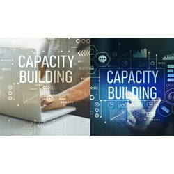 Năng Lực Số Là Gì? Giải Mã Bí Mật Của Thời Đại Mới