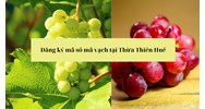 Đăng ký mã số mã vạch tại Thừa Thiên Huế uy tín, chuyên nghiệp