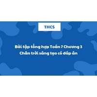 Bài tập tổng hợp Toán 7 Chương 3 Chân trời sáng tạo có đáp án