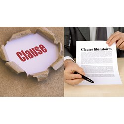 Mệnh đề là gì? Những điều cần biết về mệnh đề