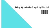 Đăng ký mã số mã vạch tại Gia Lai uy tín, chuyên nghiệp 2024