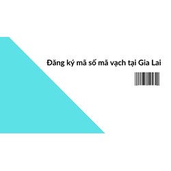 Đăng ký mã số mã vạch tại Gia Lai uy tín, chuyên nghiệp 2024