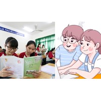 11 câu phân tích kế hoạch bài dạy môn Ngữ Văn THPT mới nhất