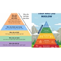 Tháp nhu cầu Maslow là gì? Giải mã các cấp độ nhu cầu của con người