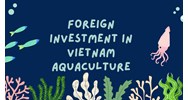 Foreign Investment in Vietnam Aquaculture: Company Setup