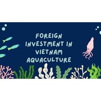Foreign Investment in Vietnam Aquaculture: Company Setup