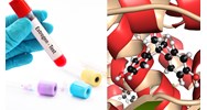 Estrogen là gì? Chức năng và vai trò của estrogen trong cơ thể