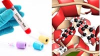 Estrogen là gì? Chức năng và vai trò của estrogen trong cơ thể