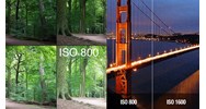 ISO máy ảnh là gì? Hướng dẫn cách điều chỉnh ISO để có ảnh đẹp