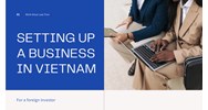 Foreign Investors Guide: Setting Up a Business in Vietnam