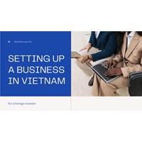 Foreign Investors Guide: Setting Up a Business in Vietnam