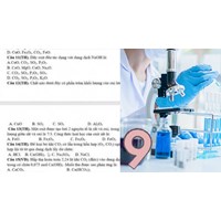 Dãy oxit tác dụng với dung dịch NaOH là? - Hoá học 9