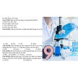 Dãy oxit tác dụng với dung dịch NaOH là? - Hoá học 9