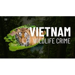 Boosting Cross-Border Cooperation: Wildlife Crime in Vietnam
