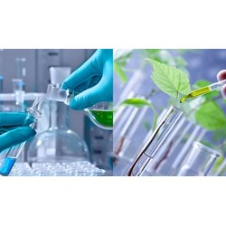 Soạn Sinh 9 Bài 4: Lai hai cặp tính trạng đầy đủ, chi tiết nhất