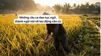 Những câu ca dao tục ngữ, thành ngữ nói về lao động cần cù
