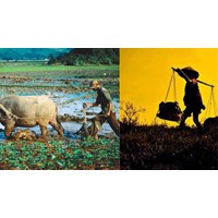 Những câu ca dao tục ngữ, thành ngữ nói về lao động cần cù