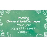 Prove Your Copyright Case in Vietnam: Proving Ownership & Damages