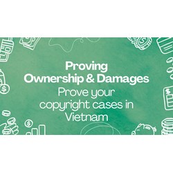 Prove Your Copyright Case in Vietnam: Proving Ownership & Damages
